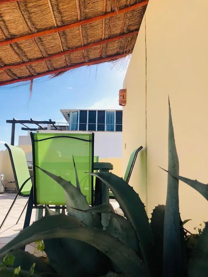 Playa Mamita Old Style Seaview Penthouse For 4 Apartment Playa del Carmen Mexico