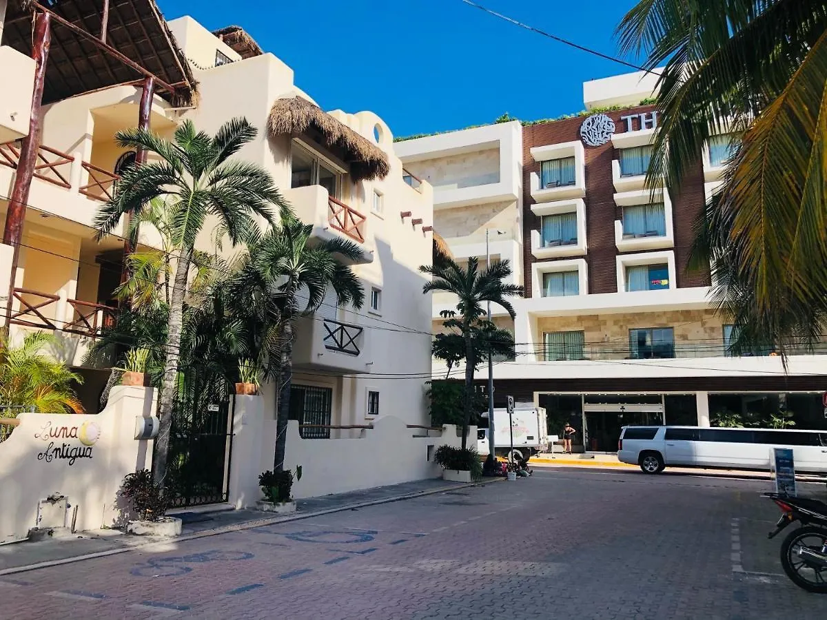 Playa Mamita Old Style Seaview Penthouse For 4 Apartment Playa del Carmen 0*,